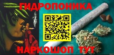ПСИЛОЦИБИНОВЫЕ ГРИБЫ Гусев